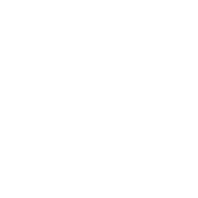 Future Projects